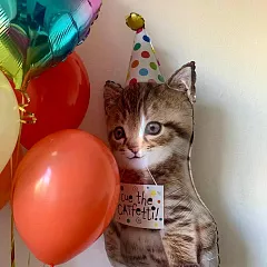 Букет шаров с котиком в колпачке и радужным сердцем