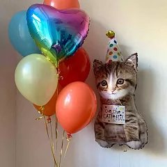Букет шаров с котиком в колпачке и радужным сердцем