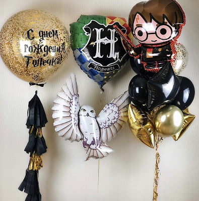 Сет на день рождения "Гарри Поттер и Букля"